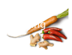 Contract catering